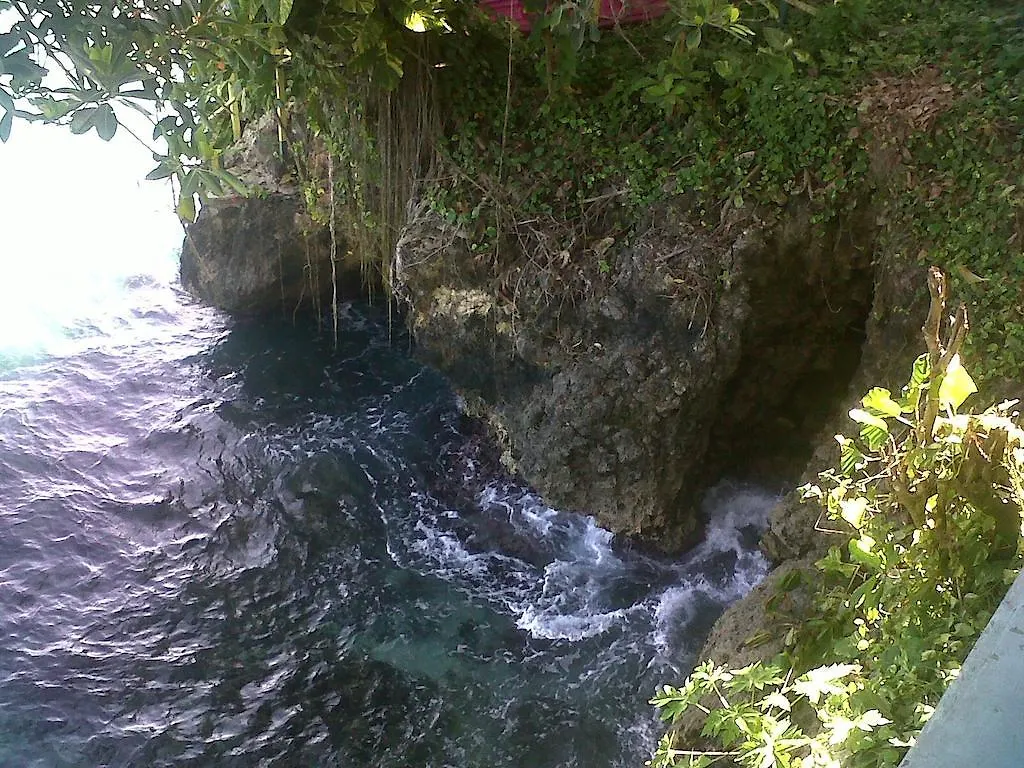 Guest house Villa Sake Saint Ann's Bay